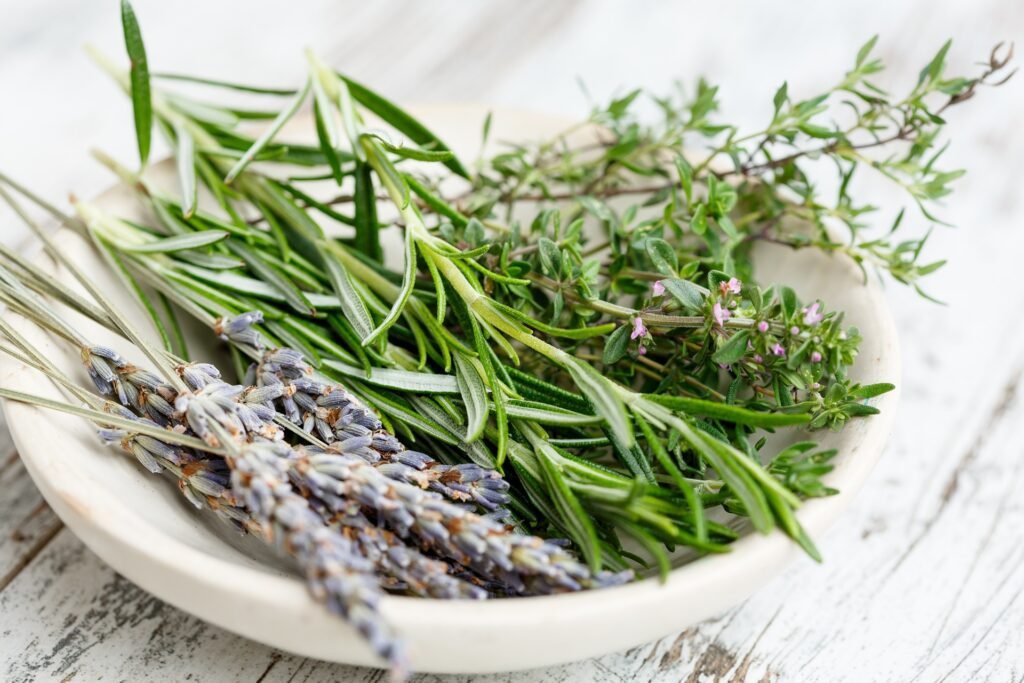hydroponic herbs